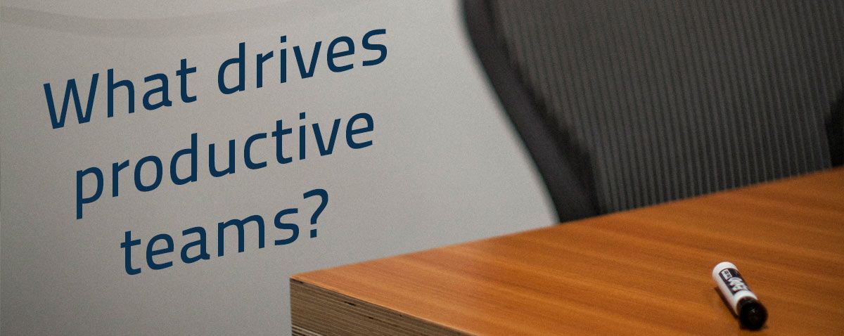 What drives productive teams?