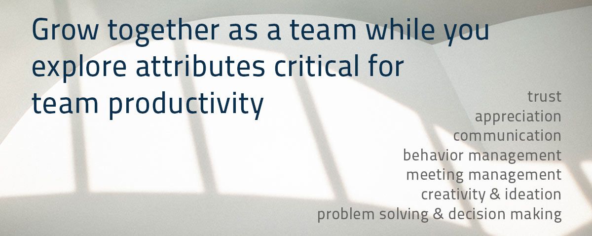 Grow together as a team while you explore attributes critical for team productivity: trust, appreciation, communication, behavior management, meeting management, creativity & ideation, problem solving & decision making